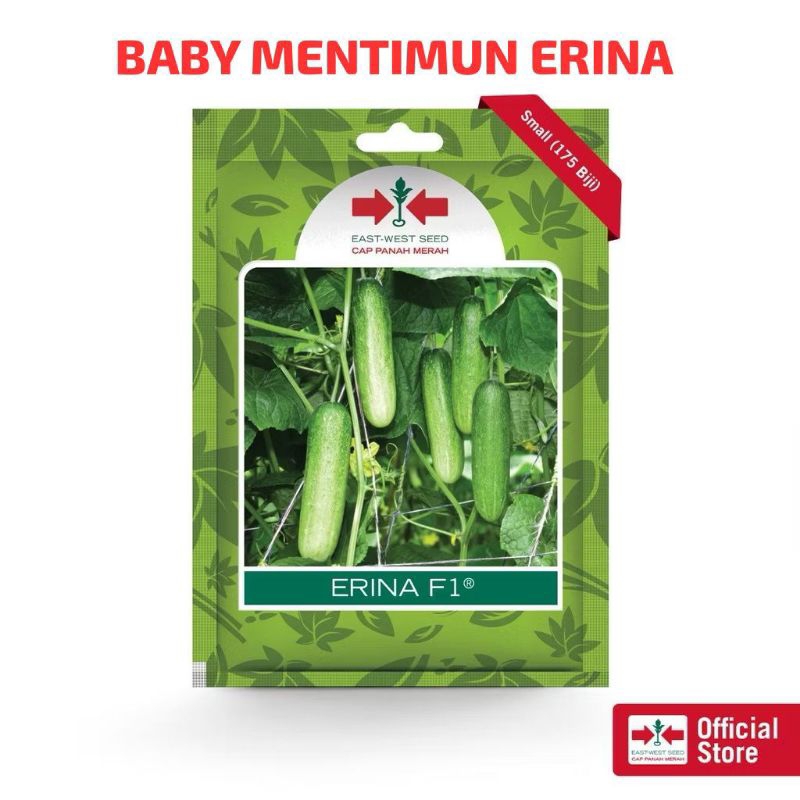 

TIMUN ERINA PANAH MERAH 175s