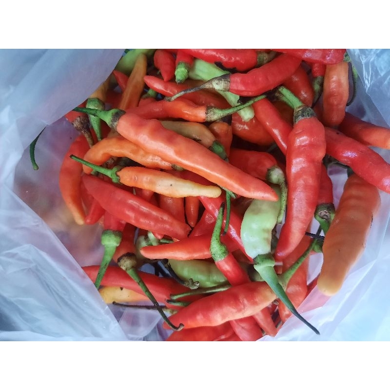 

Cabai Rawit 250gr