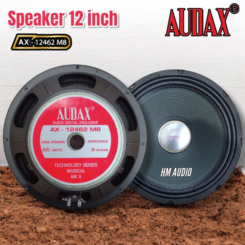 Speaker 12 inch Audax AX-12462 Original