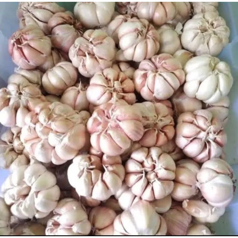 

BAWANG PUTIH 1 KG