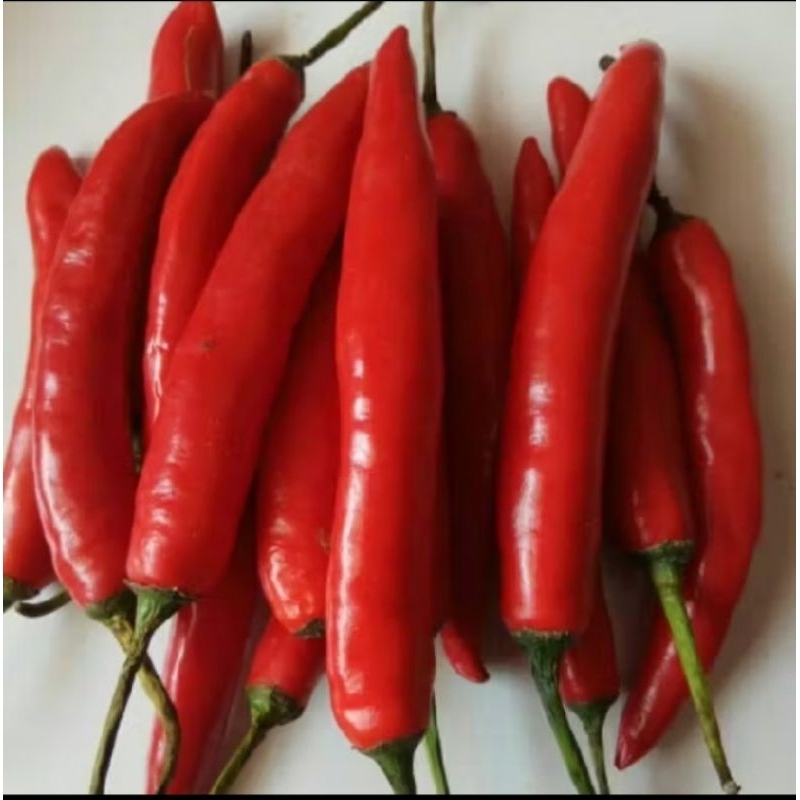 

Cabe Merah Besar Segar