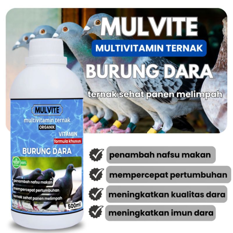 MULVITE Vitamin Burung Dara Agar Cepat Bertelur Obat Betina Anti Macet Nelur Untuk Ternak Breeding B