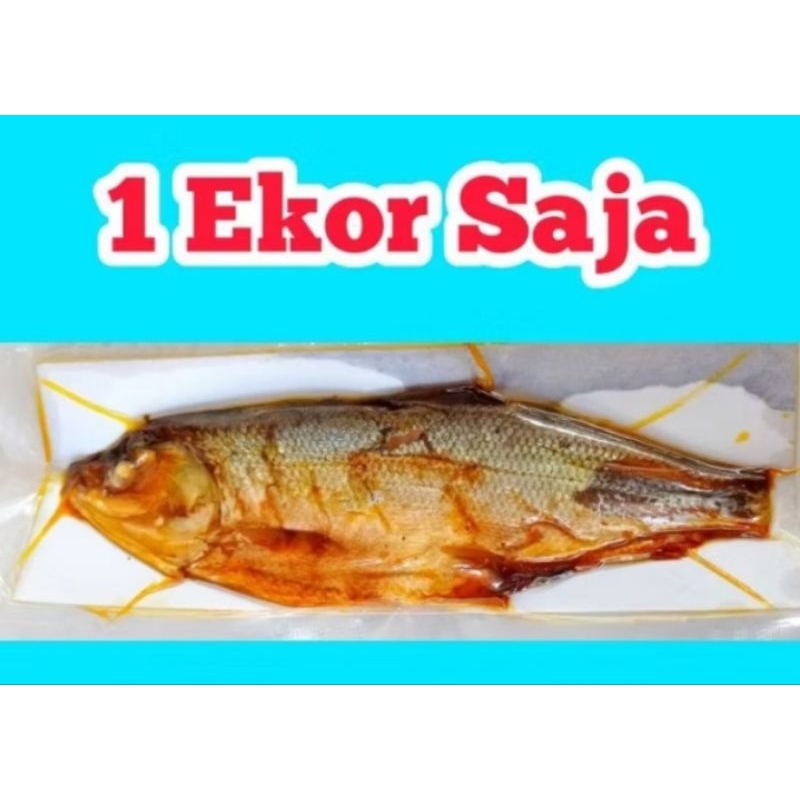 

bandeng presto 1 ekor