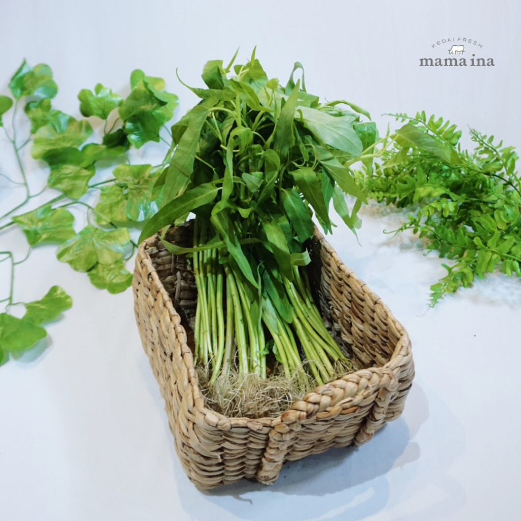 

Hydroponic Kangkung 250g