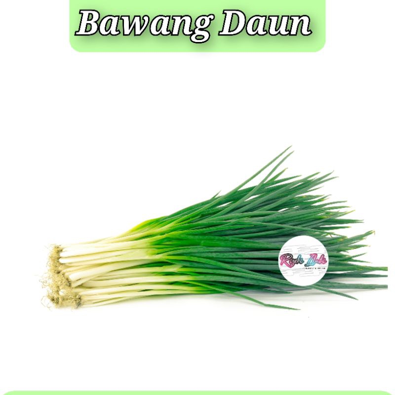 

PER 1000 GRAM BAWANG DAUN ASLI BANDUNG KEBUN SENDIRI MURAH GROSIR BANDUNG