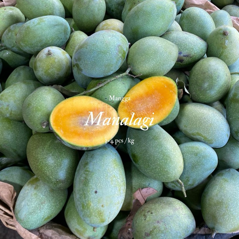 

[SAMEDAY] Mangga manalagi asli probolinggo