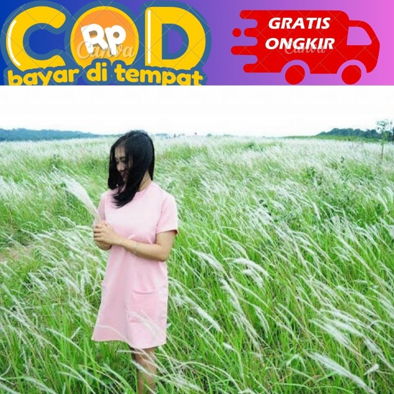 

Daun Alang Alang segar rumput Alang Alang segar