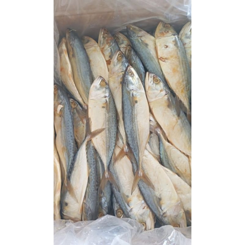 

Ikan asin pantura PEDA PUTIH kembung murah sedang 1kg