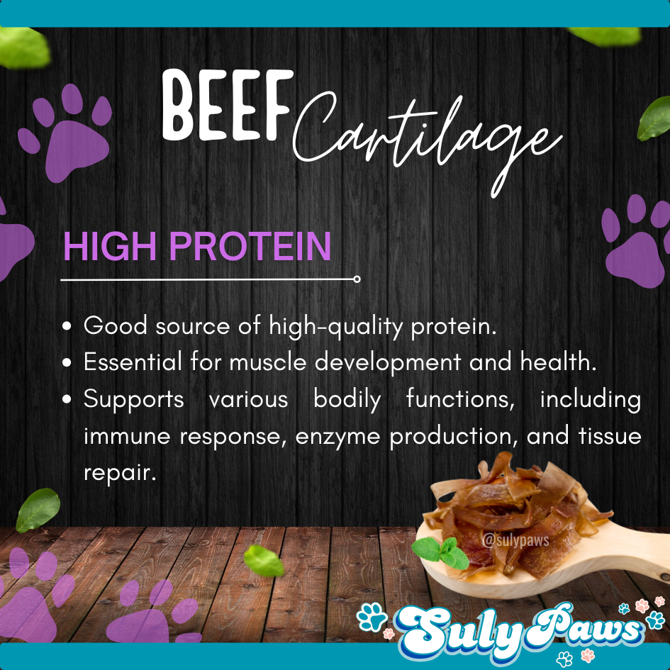 

Ukf5Pc6F4H (Kuliner.Kita) Cemilan Snack Tulang Muda Anjing Gigit Dog Beef Chewy Bone Treats By