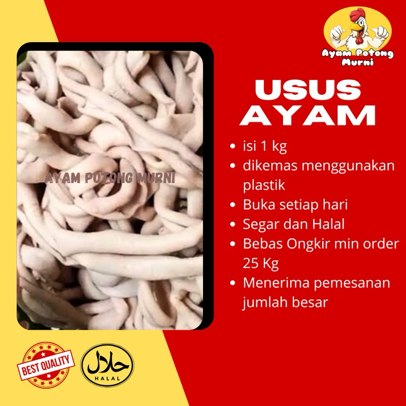 

USUS AYAM POTONG