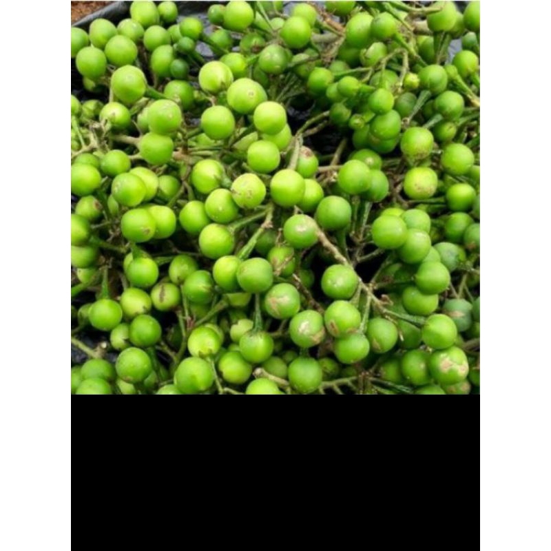 

Buah takokak segar 200gr