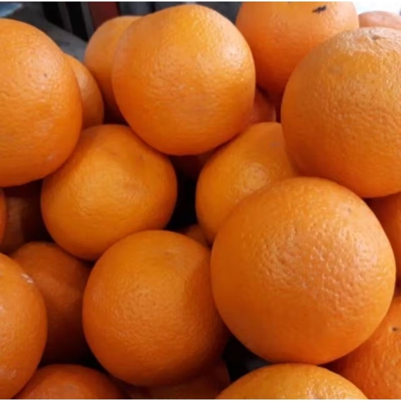 

jeruk sunkist 2pc / 500gram