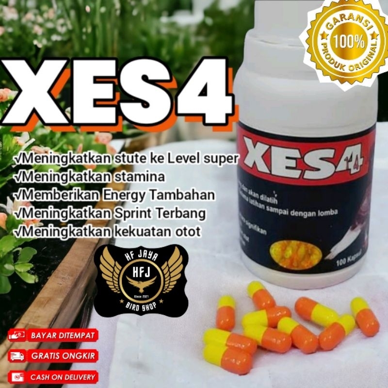 XES4 PRODUK DARI BARON ASLI KERAS JAMU MERPATI BARON B TREX XES4 XESA meningkatkan stut