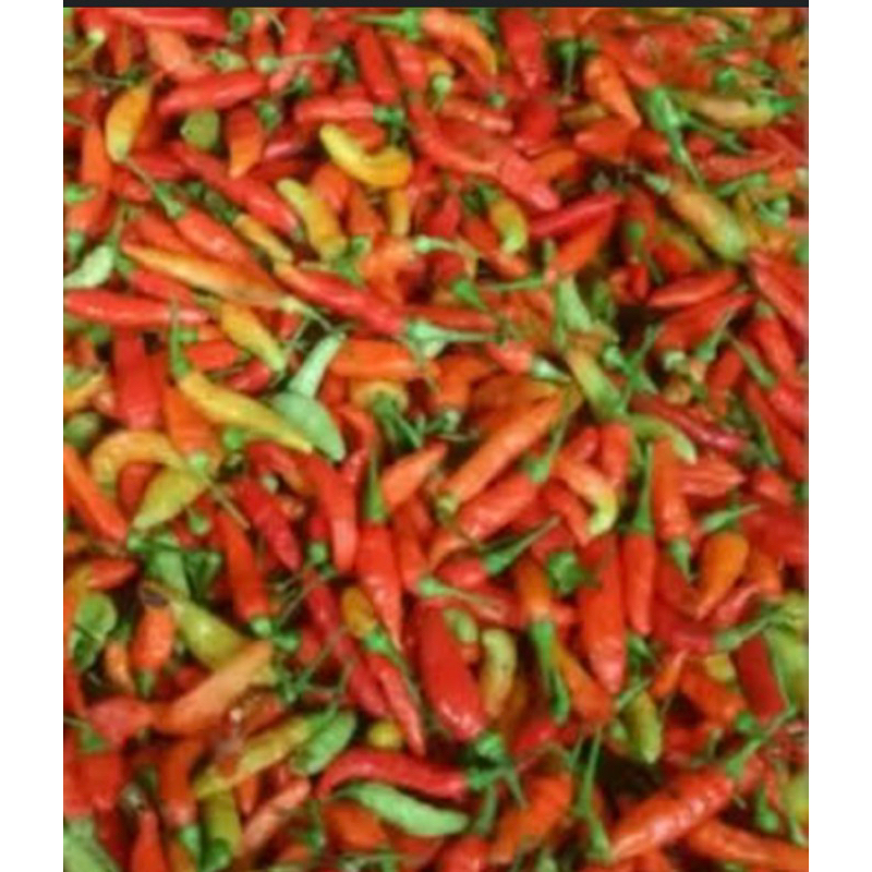 

cabe rawit pedas