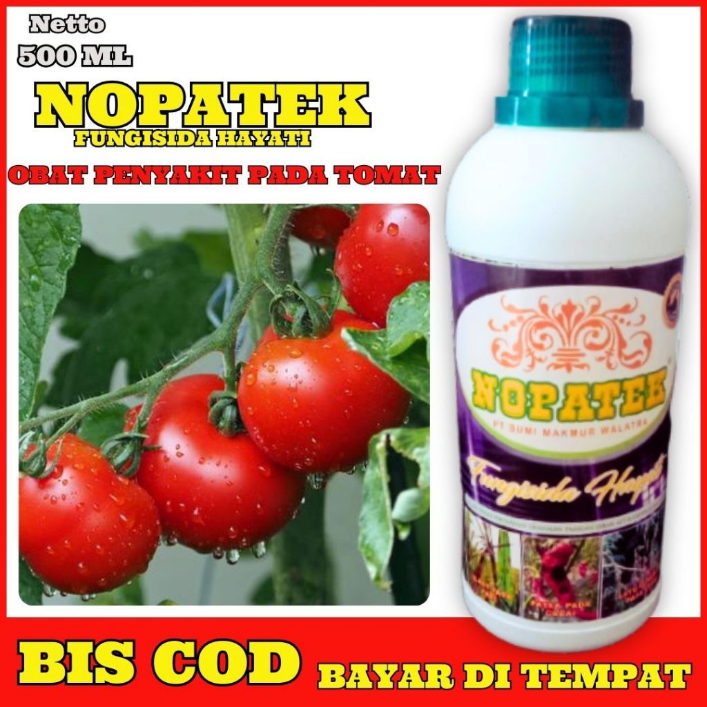 nopatek plus pencegah hama penyakit pada tanaman tomat