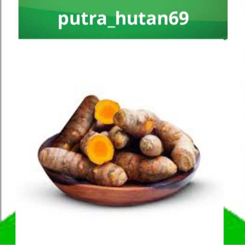 

UMBI KUNYIT UNGGULAN 1KG
