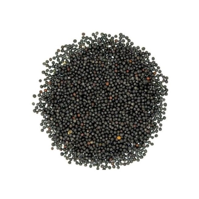 

biji sawi hitam black mustard seed 100 gr