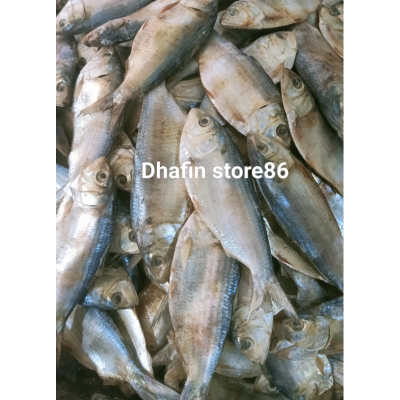 

Ikan Asin Lontongan / Belo