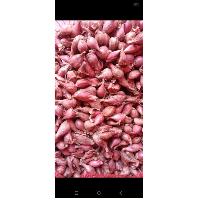

bawang merah ukuran sedang 1 kg murah banget