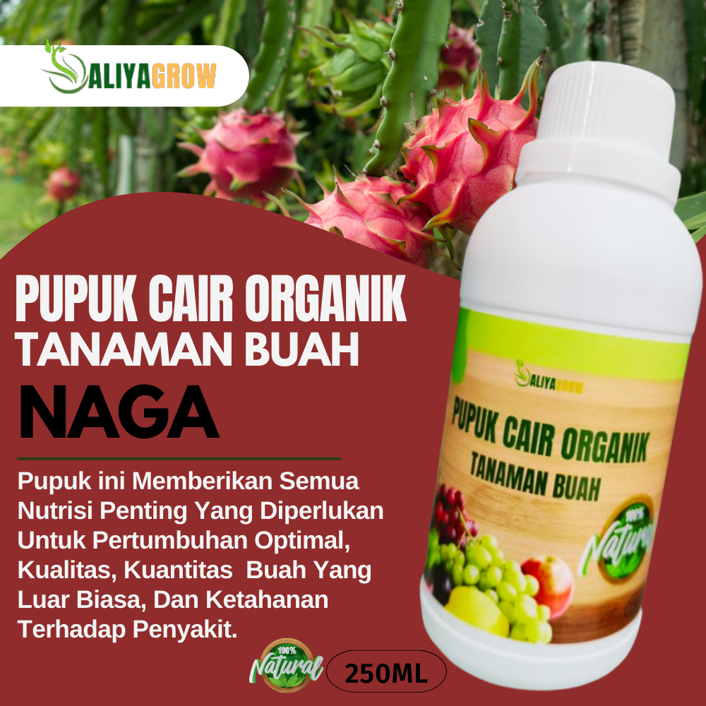 pupuk buah naga/pupuk buah naga agar berbuah lebat/pupuk buah naga merah/pupuk booster buah naga