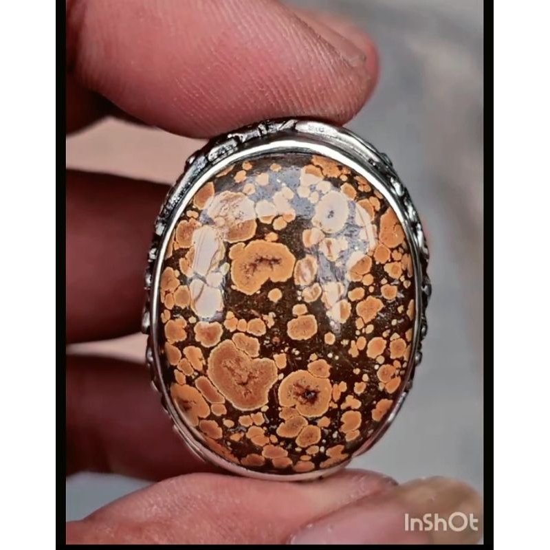 Natural Pirus Hubei Coklat Mantapp