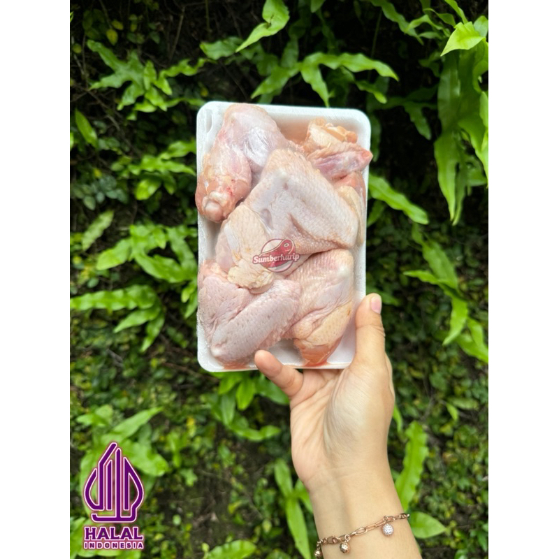 

CHICKEN WINGS 500gr termurah