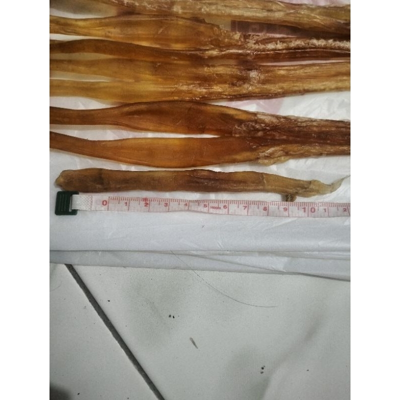 Otot kaki sapi/ Urat kaki sapi. Premium tendon stick/dog food otot sapi kering/air dried dog treat.