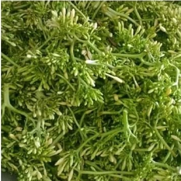 

Bunga Pepaya Segar 1kg / Kembang Kates / Sayur Bunga Pepaya