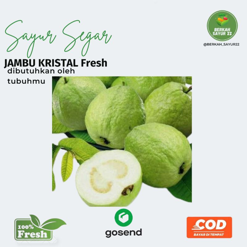 

BERKAH_SAYUR22 Jambu kristal Fresh 1kg