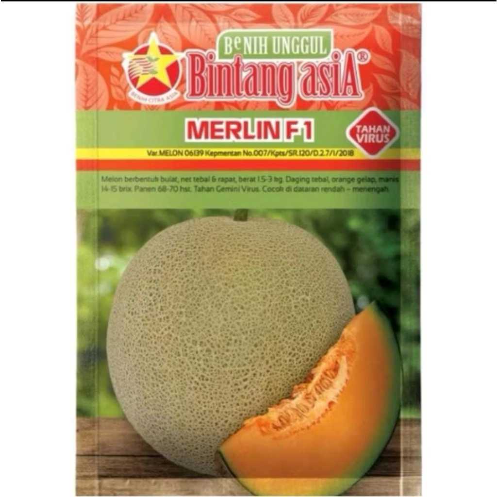 Benih melon Merlin f1