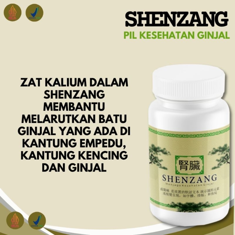 SHENZANG MEMBANTU MELARUTKAN BATU GINJAL