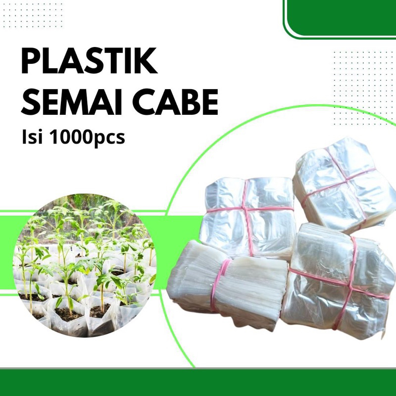 Polybag Semai Cabe isi 1000pcs/Plastik semai cabe murah isi banyak/Polybag semai