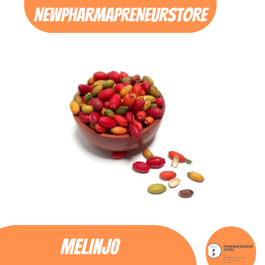 

EKSTRAK DAUN MELINJO BEST QULITY