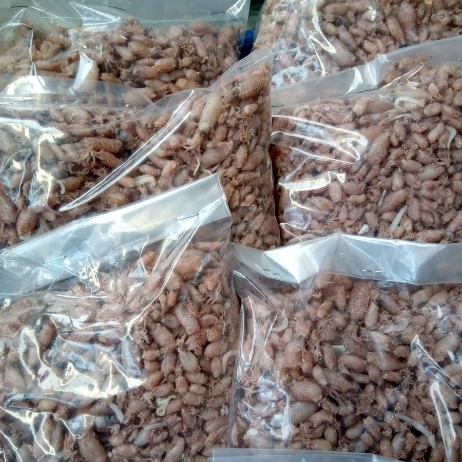 

baby cumi 0,5-2cm cumi baby super premium fresh cumi asin baby baby cumi asin squid baby