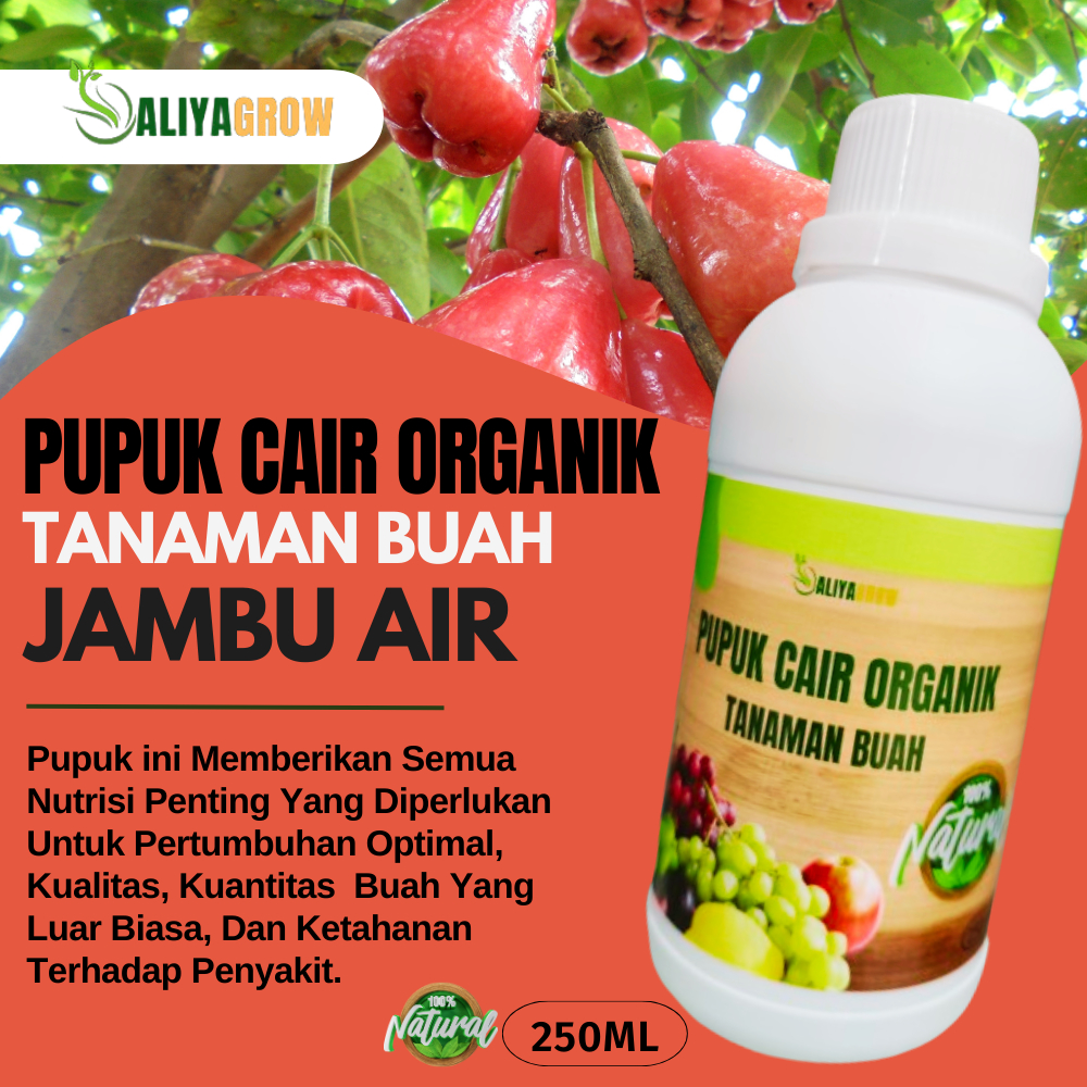 pupuk jambu air/pupuk jambu air agar cepat berbuah/pupuk booster jambu air/pupuk organik jambu air