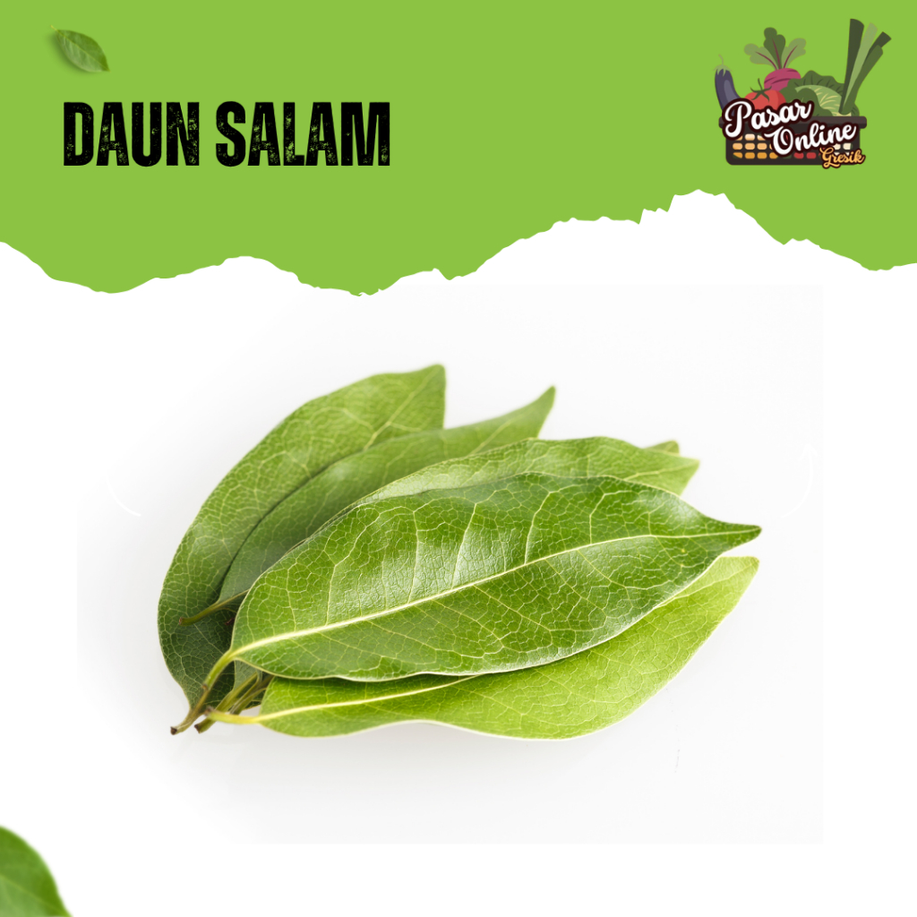 

DAUN SALAM - 1 TUSUK