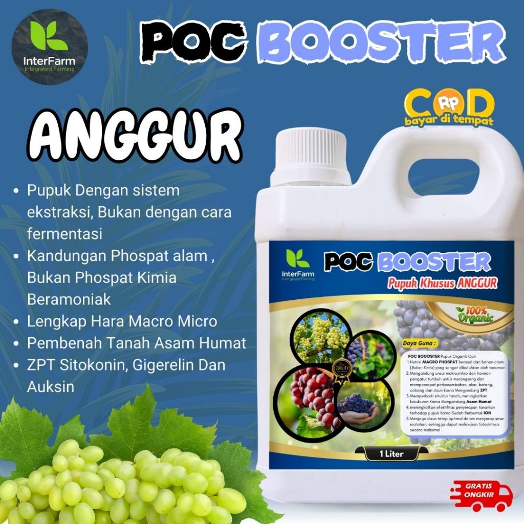 Pupuk pelebat buah anggur ,Pupuk untuk tanaman anggur,Pupuk cair organik untuk anggur Dari INTERFARM
