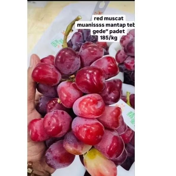 

Anggur Shine Muscat Merah