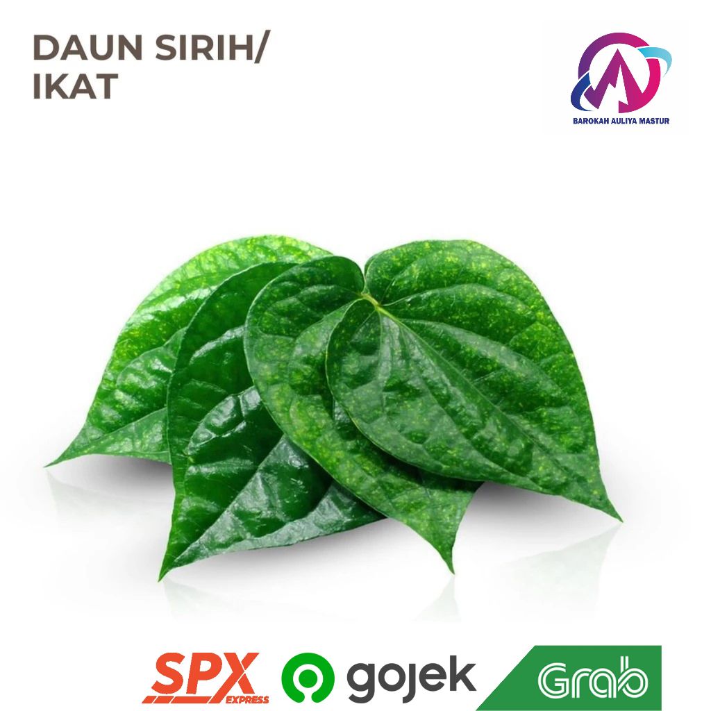 

KIRIM INSTAN Daun Sirih per Ikat Sayur Fresh BAM Oslhop Padang Isi 30 lembar