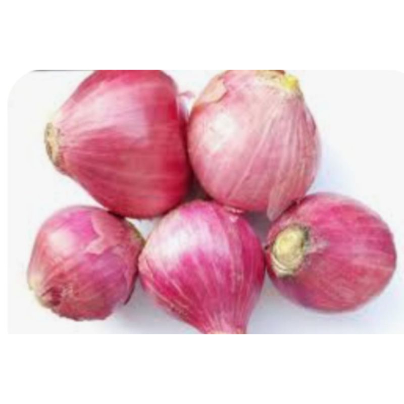 

BAWANG MERAH BESAR RP 9.500 / 250 gram