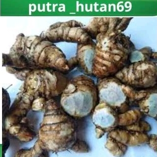 

TEMU HITAM 250 g
