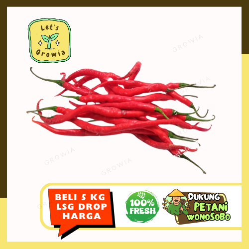 

Growia | Cabai Cabe Keriting Merah Padang Ori 1/2 Kg 1 Kg 2 Kg 5 Kg Segar Langsung Dari Petani Bllanza