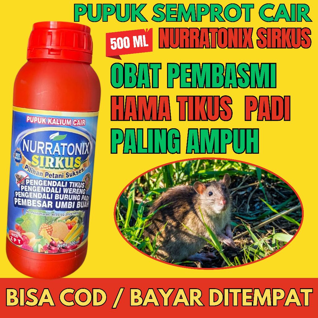 Pestisida Pembasmi hama Tikus dan Burung Piit Padi Ampuh - Pupuk Semprot Racun Tikus Padi Manjur