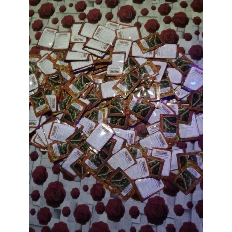 bibit cabe SALO DUA cjs 2 super