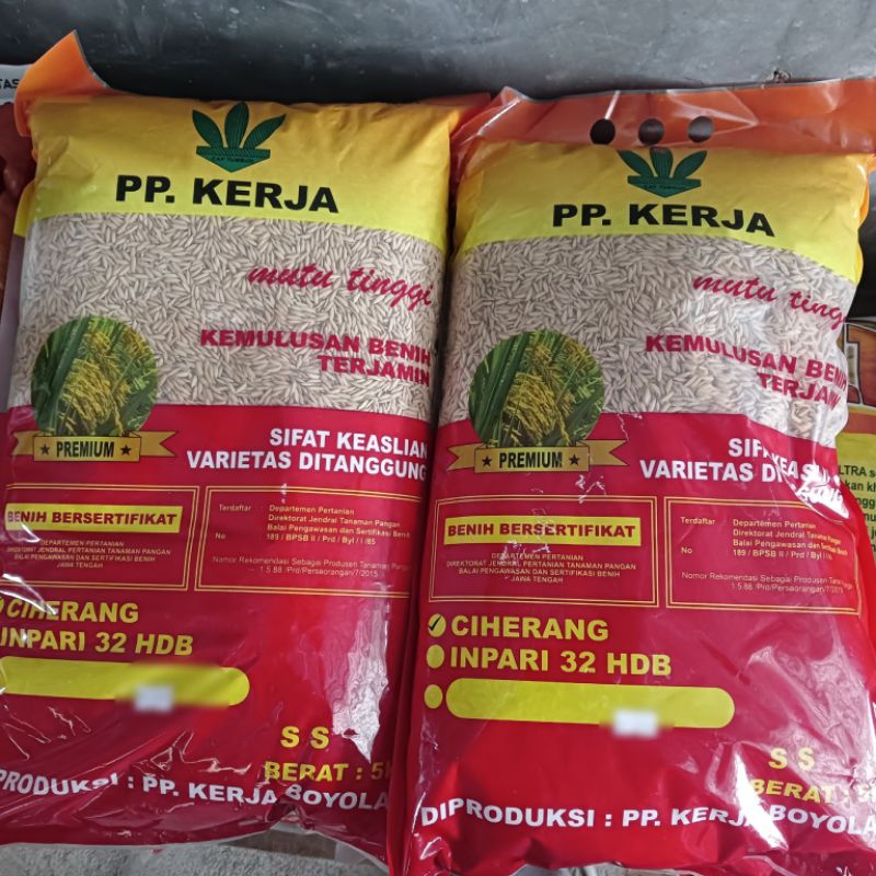 Benih Padi PP Kerja Boyolali Ciherang/Sierang Premium berat 5kg