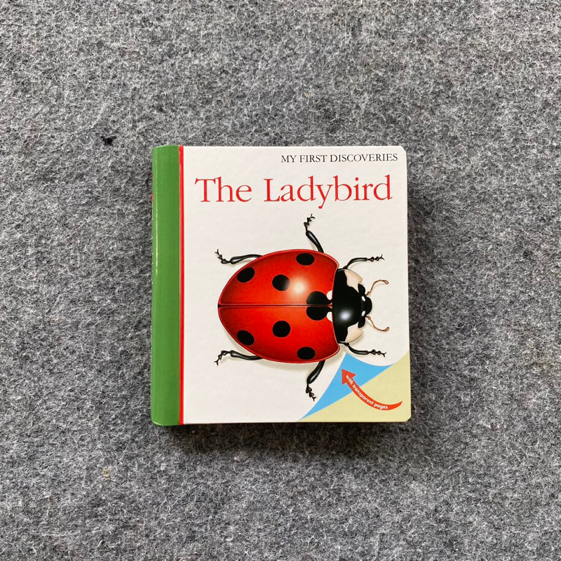 My First Discoveries the Ladybird