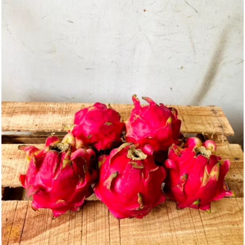 

buah naga merah fresh 1kg isi 3