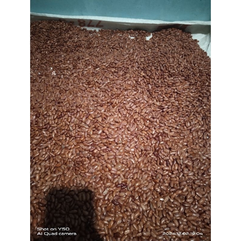 

Kacang Merah/Kacang Rendang