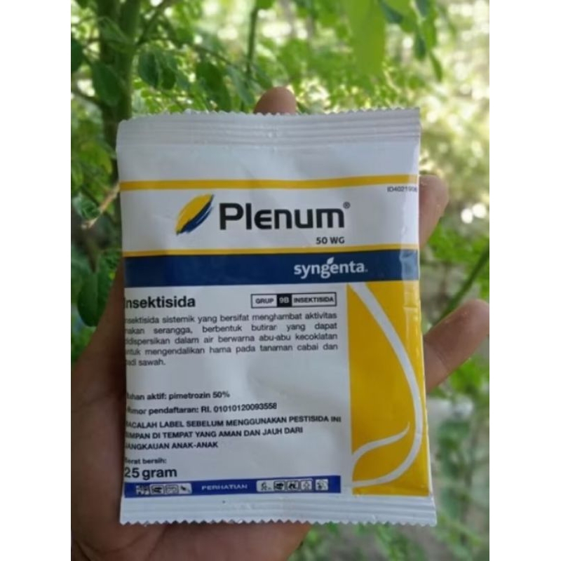 plenum 25gram