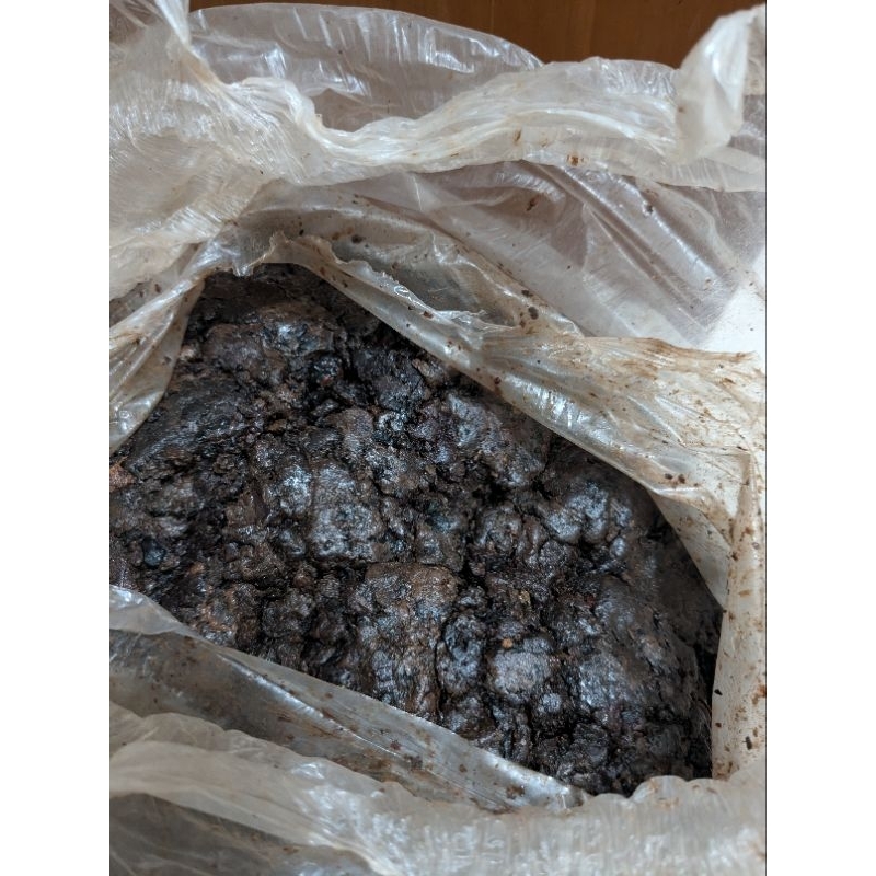 propolis trigona mentah 1kg